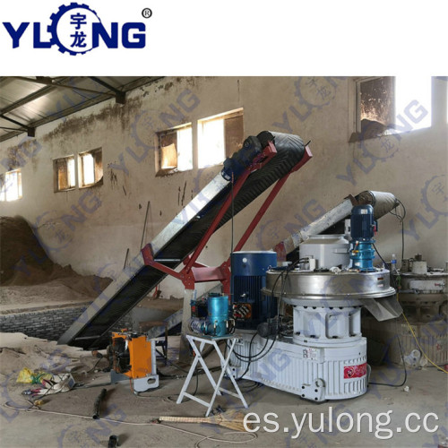 Prensa de pellets de madera de haya YULONG XGJ560 1.5-2TON / H